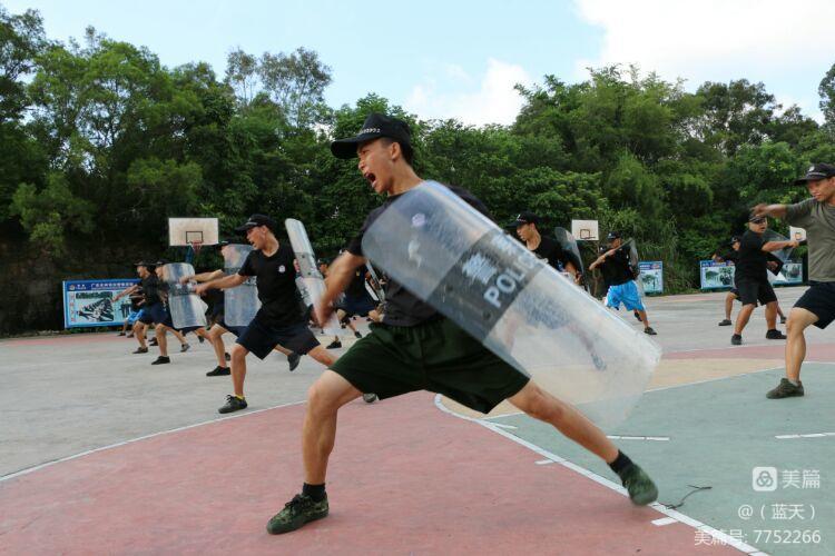 特警防暴专业